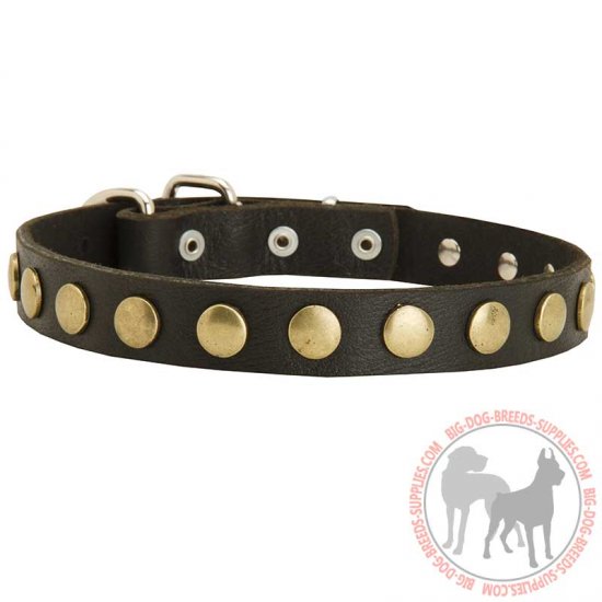 S27 - PRICE LEVEL 2 - Studded Leather Dog Collar