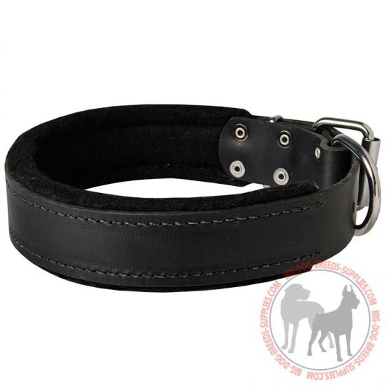 C24 - PRICE LEVEL 2 - Attack Training Leather Dog Collar with Inner Padding