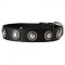 C273 - PRICE LEVEL 2 - Conchos Decorated Wide Nylon Dog Collar for Walking