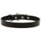C2 - PRICE LEVEL 2 - Walking Smooth Leather Dog Collar for Every Day