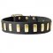 S26 - PRICE LEVEL 2 - Brass Plated Wide Leather Dog Collar