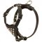 H24 - PRICE LEVEL 2 - Leather Studded Dog Harness for Puppy Walking