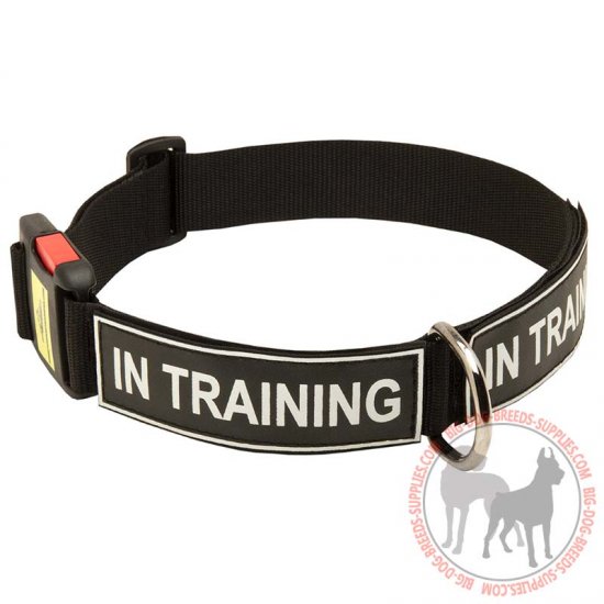 C48 - PRICE LEVEL 2 - Strong Nylon Dog Collar with Identification Patches