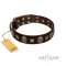 C422 - PRICE LEVEL 2 -"Captain Hook" FDT Artisan Brown Leather Dog Collar with Stars and Skulls