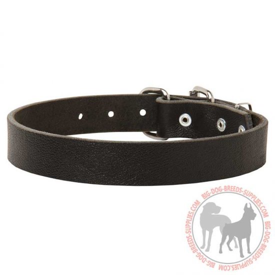 C3 - PRICE LEVEL 2 - Leather Dog Collar with Adjustable Buckle