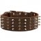 S92 - PRICE LEVEL 2 - Extra Wide Leather Dog Collar