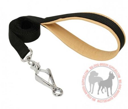 L10 - PRICE LEVEL 2 - Dog Leash With Padded Handle For Walking And Training