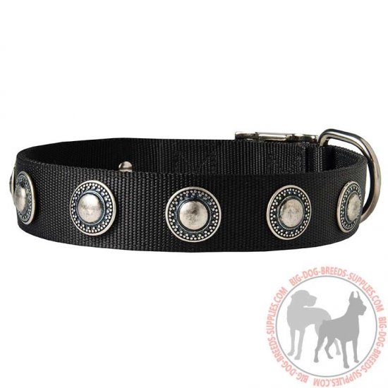 C273 - PRICE LEVEL 2 - Conchos Decorated Wide Nylon Dog Collar for Walking