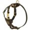 H2R - PRICE LEVEL 2 - Nappa Leather Padded Dog Harness for Small Puppies