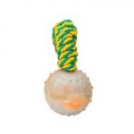TT4 - PRICE LEVEL 2 - 2 inch Solid Rubber Dog training Ball on string
