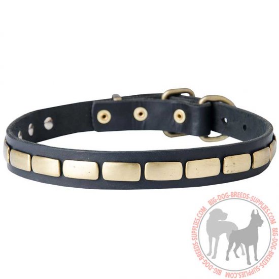 S25 - PRICE LEVEL 2 - Brass Plated Leather Dog Collar