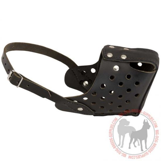 M21 - PRICE LEVEL 2 - Heavy-Duty Leather Dog Muzzle for Agitation Training