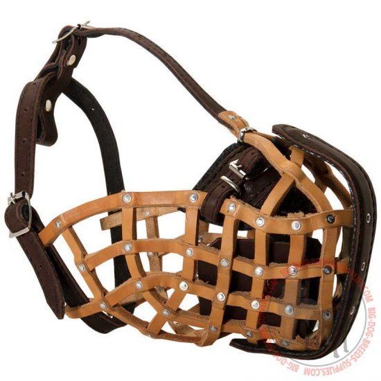 M1 - PRICE LEVEL 2 - Leather Basket Dog Muzzle for Attack/Agitation Training