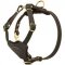 H2 - PRICE LEVEL 2 Training and Walking Puppy Leather Dog Harness