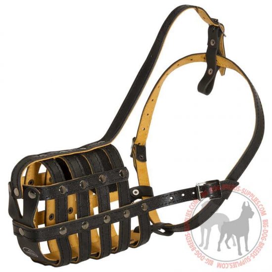 M41R - PRICE LEVEL 2 - Padded Leather Basket Dog Muzzle with Good Air Flow
