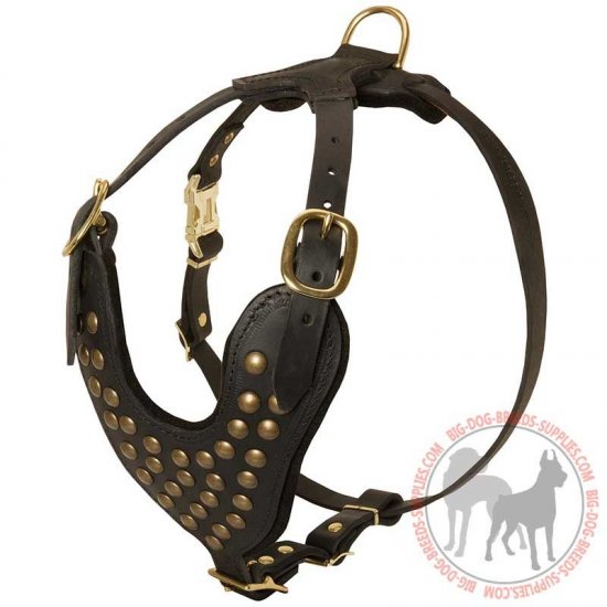 H15 - PRICE LEVEL 2 - Designer Leather Dog Harness with Studded Breast Plate