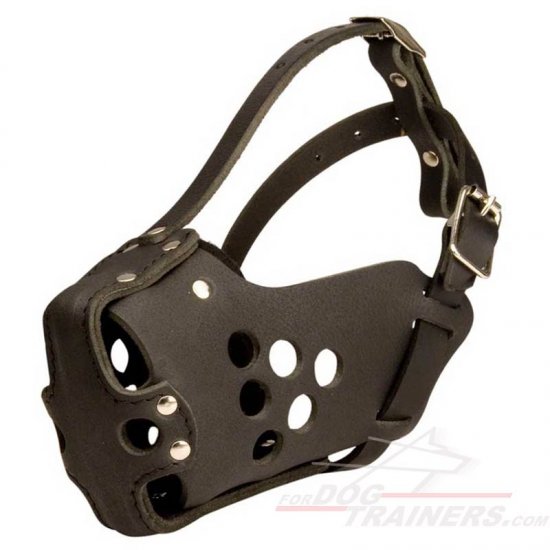 M31 - PRICE LEVEL 2 - Heavy-Duty Leather Dog Muzzle for Agitation Training