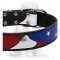 C77 - PRICE LEVEL 2 - Eye-catching American Pride multifunctional collar