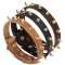 C110 - PRICE LEVEL 2 - Spiked Leather Dog Collar