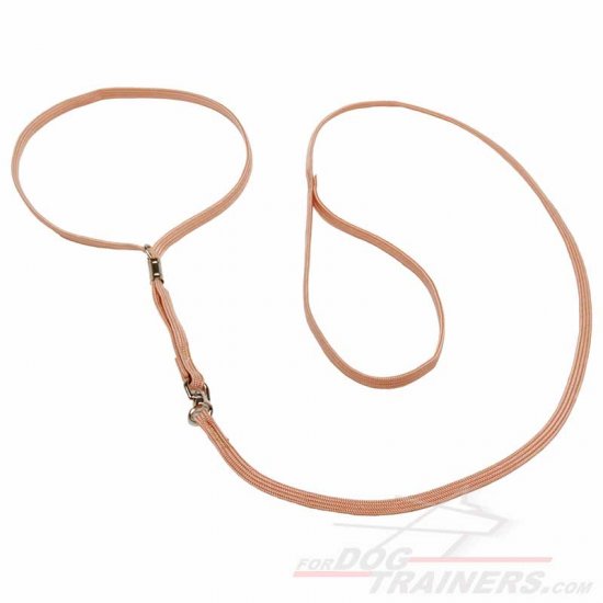 L54 - Price level 2 - Nylon Dog Show Collar & Lead Combo