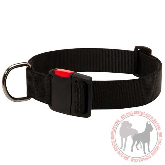 C41 - PRICE LEVEL 2 - Walking Water-proof Nylon Dog Collar with Quick Release Buckle