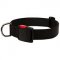 C41 - PRICE LEVEL 2 - Walking Water-proof Nylon Dog Collar with Quick Release Buckle
