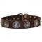 C75 - PRICE LEVEL 2 - Leather Dog Collar with Blue Stones for Walking and Training