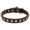 C26 - PRICE LEVEL 2 - Leather Canine Collar with 1 Row of Nickel Studs 25 mm wide