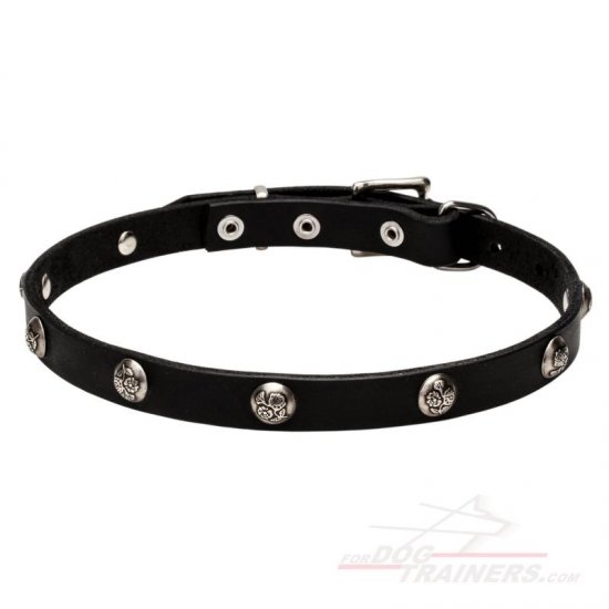 C67 - PRICE LEVEL 2 - "Lucky" 20 mm Leather Dog Collar with Nickel Plated Engraved Studs