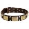C85 - PRICE LEVEL 2 - Dog Collar With Decoration Of Brass Plates And Cones