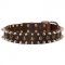 S55 - PRICE LEVEL 2 - Spiked and Studded Leather Dog Collar