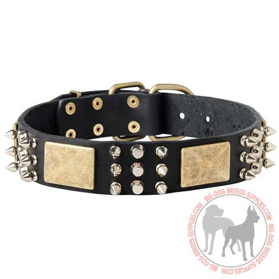 C86 - PRICE LEVEL 2 - Exclusively Decorated Dog Collar Of Natural Leather