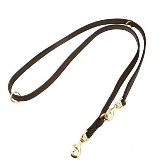 L40 - PRICE LEVEL 2 - I-Grip Multifunctional Dog Leash