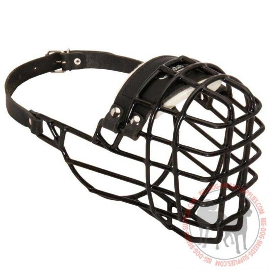 M10 - PRICE LEVEL 2 - Wire Basket Dog Muzzle for Wintertime