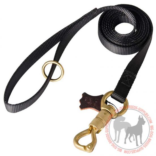 L99 - PRICE LEVEL 2 - Nylon Dog Leash for Walking and Obedience Training