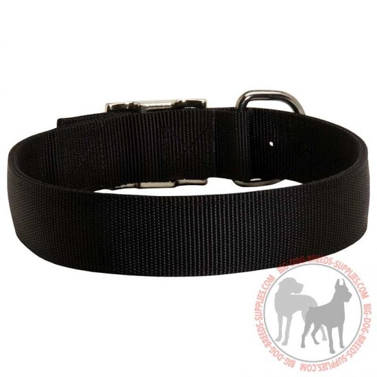 C40 - PRICE LEVEL 2 - Lightweight Adjustable 2 Ply Nylon Dog Collar