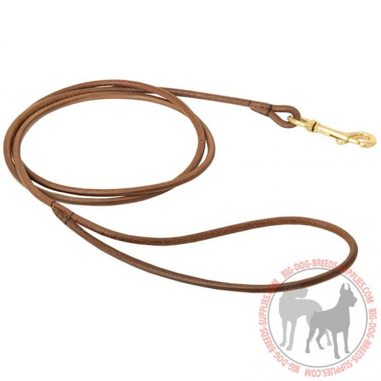 L37 - PRICE LEVEL 2 - Round Leather Dog Leash