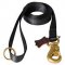 L98 - PRICE LEVEL 2 - Nylon Dog Leash for Walking and Tracking