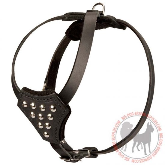 H25 - PRICE LEVEL 2 - Lightweight Dog Puppies Leather Harness for Walking and Training