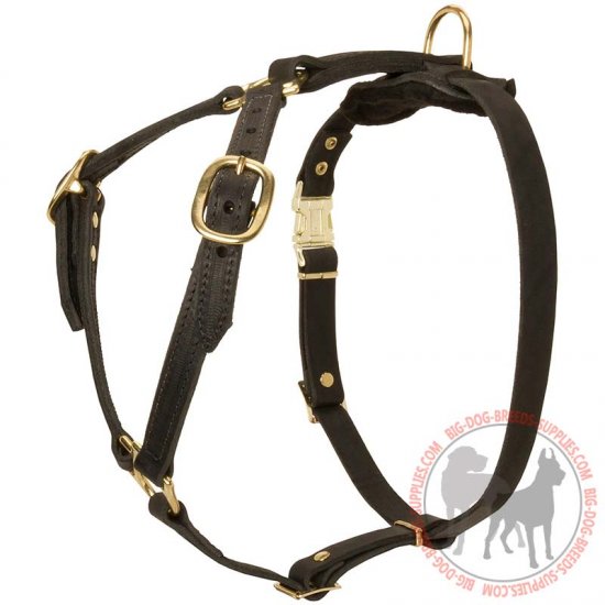 H7 - PRICE LEVEL 2 - Leather Dog Harness for Tracking, Walking and Training