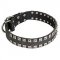 C93 - PRICE LEVEL 2 - Leather Collar "Caterpillar" 2 Rows Nickel Studs