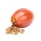 TT44 - PRICE LEVEL 2 - Treat Dispensing Football - Medium