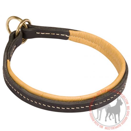 C100 - PRICE LEVEL 2 - Leather Choke Dog Collar for Training and Walking Activities