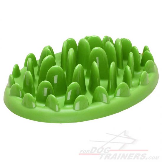 KA16 - PRICE LEVEL 1 - "Grassy Plate" Interactive Pet Feeder for Small Breeds