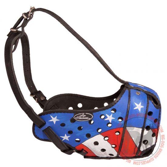 M77AP - PRICE LEVEL 2 - Adjustable Handpainted Leather Dog Muzzle for Agitation Training