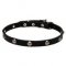 C67 - PRICE LEVEL 2 - "Lucky" 20 mm Leather Dog Collar with Nickel Plated Engraved Studs
