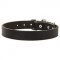 C3 - PRICE LEVEL 2 - Leather Dog Collar with Adjustable Buckle