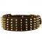 C82 - PRICE LEVEL 2 - Extra Wide Leather Dog Collar Decorated with Spikes