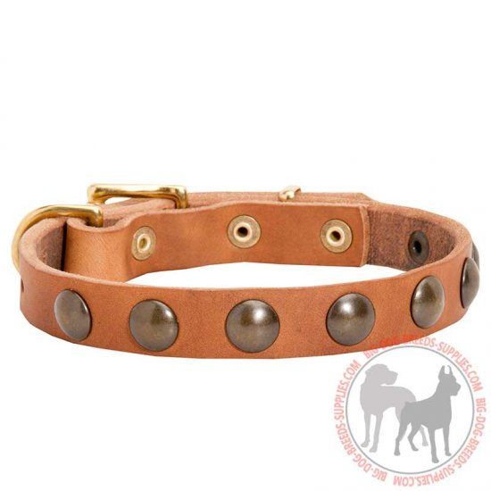 C113 - PRICE LEVEL 2 - Studded Puppy Leather Dog Collar