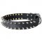 S33 - PRICE LEVEL 2 - Leather Spiked Dog Collar
